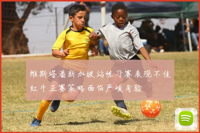 维斯塔潘新加坡站练习赛表现不佳红牛正赛策略面临严峻考验