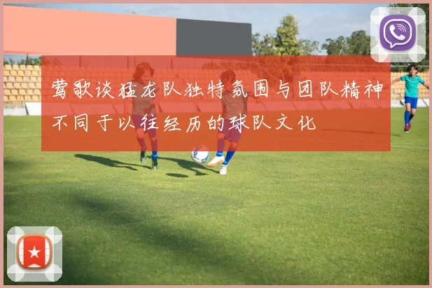 莺歌谈猛龙队独特氛围与团队精神不同于以往经历的球队文化