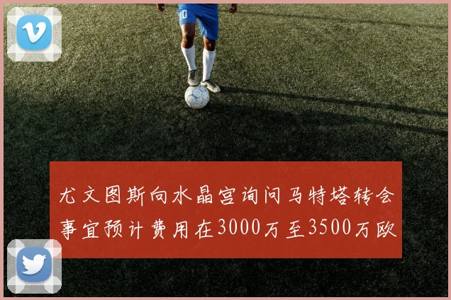 尤文图斯向水晶宫询问马特塔转会事宜预计费用在3000万至3500万欧元之间